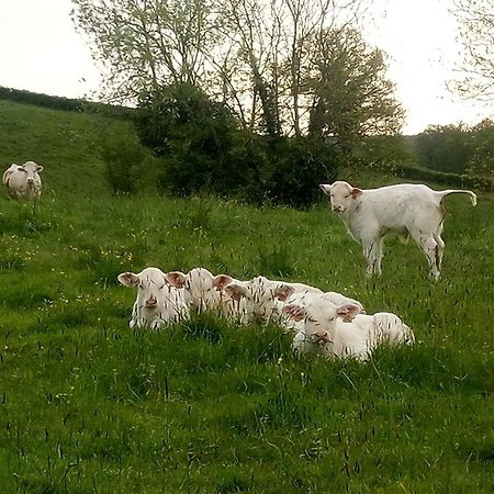 Gite A La Ferme Le Rousset Exterior photo