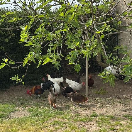 Gite A La Ferme Le Rousset Exterior photo